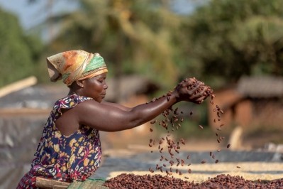 A Brazilian court has found 'unlawful' working conditions in Cargill's cocoa supply chain. Pic: Cargill