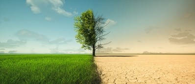 How are rising global temperatures impacting food production? Hear from the FAO's climate change lead at Climate Smart Food to find out. GettyImages/appledesign