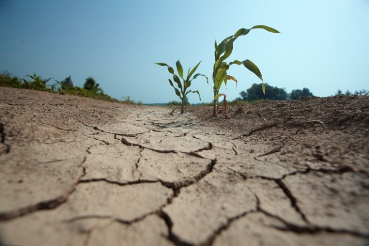 Sustainable agriculture can help build resilience in terms of adaptation and sequestration, as well as food security, FoodNavigator hears. GettyImages/Drbouz