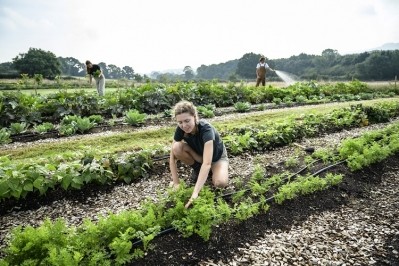 Regenerative agriculture has many definitions, but none on an EU-level. Image Source: JohnnyGreig/Getty Images