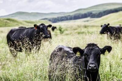 How can food system transformation help climate change mitigation? IPCC weighs in / Pic: GettyImages-Chris Strickland