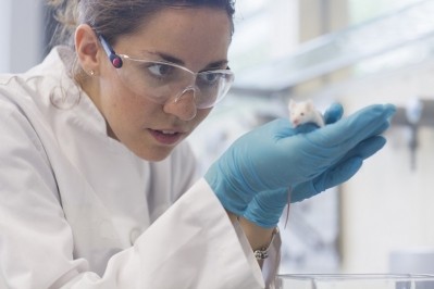 ESFA has launched TKPlate, a new platform that proposes food safety testing without using animals. GettyImages/Cultura RM Exclusive/Sigrid Gombert