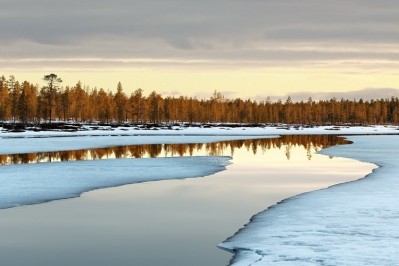 A new association in Finland aims to promote the consumption of plant-based food. Image Source: mammuth/Getty Images