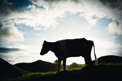 Despite a lot of investment in alternative proteins, the traditional meat sector still has a far more favourable economic environment. Image Source: georgeclerk/Getty Images