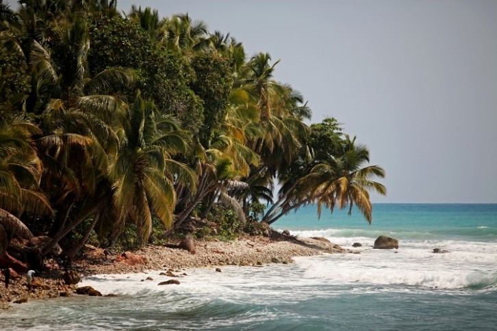 The drink, despite overseas expansion, is still produced in Haiti. Image Source: 1001nights/Getty Images