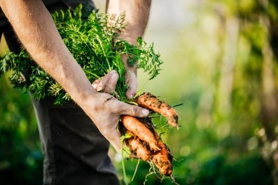 Shifts in business model developments that centre on alternative food networks, organic food and agroecology are vital. GettyImages/Tom Werner