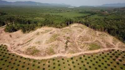 Sustainability tech round-up: We take a look at the solutions working to boost traceability and due diligence, with the aim of eliminating environmental violations - including deforestation - from EU food supply chains. GettyImages/richcarey