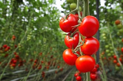 Having established its first four regenerative agriculture projects in Europe and the US, Unilever's environmental impact results are now in. GettyImages/Sjo