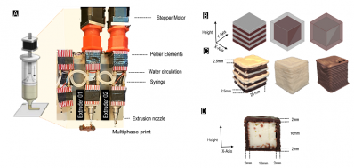 3D-printing can be used to create structures that reveal important things about the way we taste. Source: Johannes Burkard