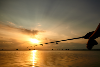 Freshwater fish contain 'alarming' levels of forever chemicals / Pic: GettyImages Stock Colour