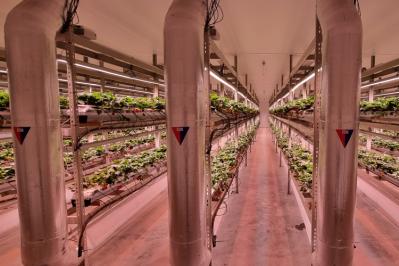 FlexFarming growing room / Pic: FlexFarming