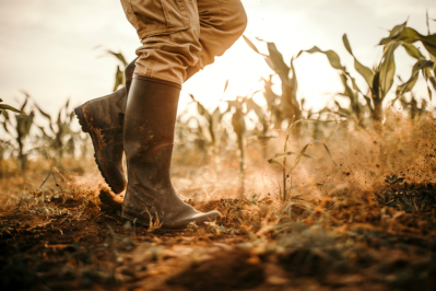 Spanish civil society wants more say over food policy / GettyImages-Eclips_Images